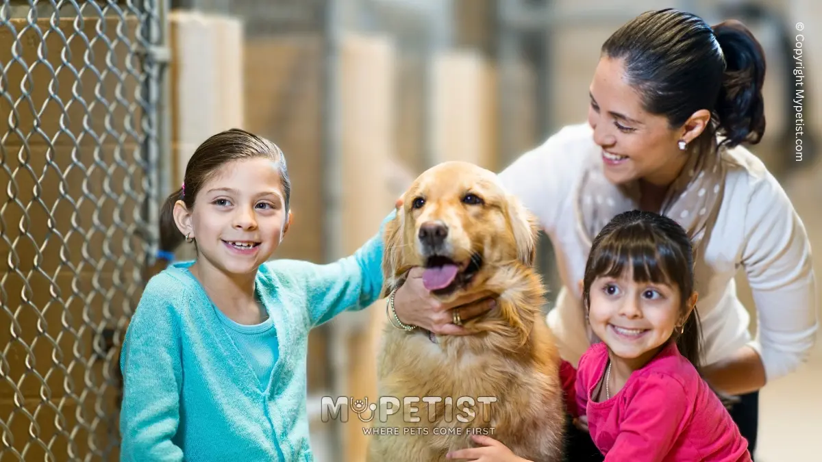 The Benefits Of Adopting A Rescue Pet: Saving Lives And Gaining Love ...