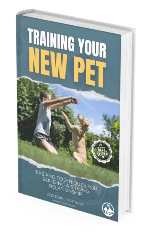 training-your-new-pet-tips-and-techniques-for-building-a-strong-relationship